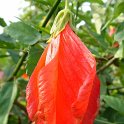 Picasa 2.7